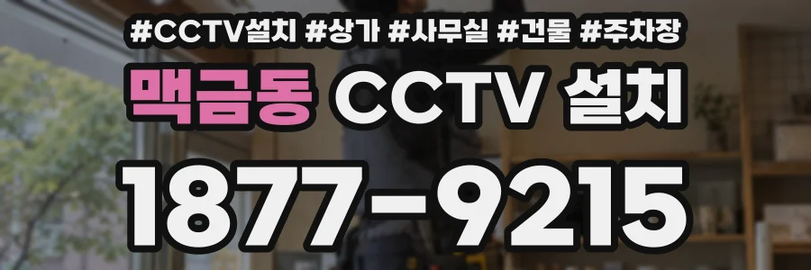맥금동 CCTV 설치