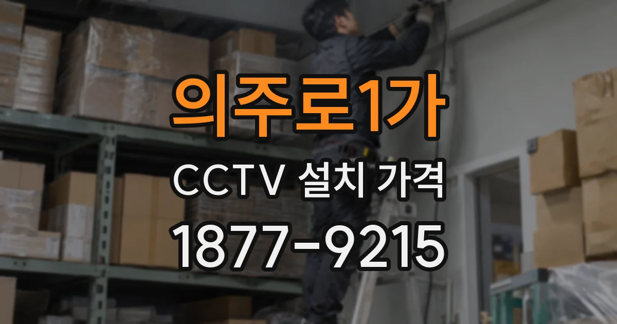 의주로1가 CCTV 설치 가격
