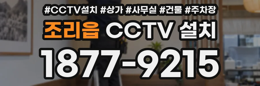 조리읍 CCTV 설치