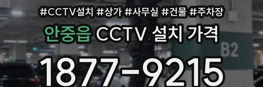 안중읍 CCTV 설치 가격