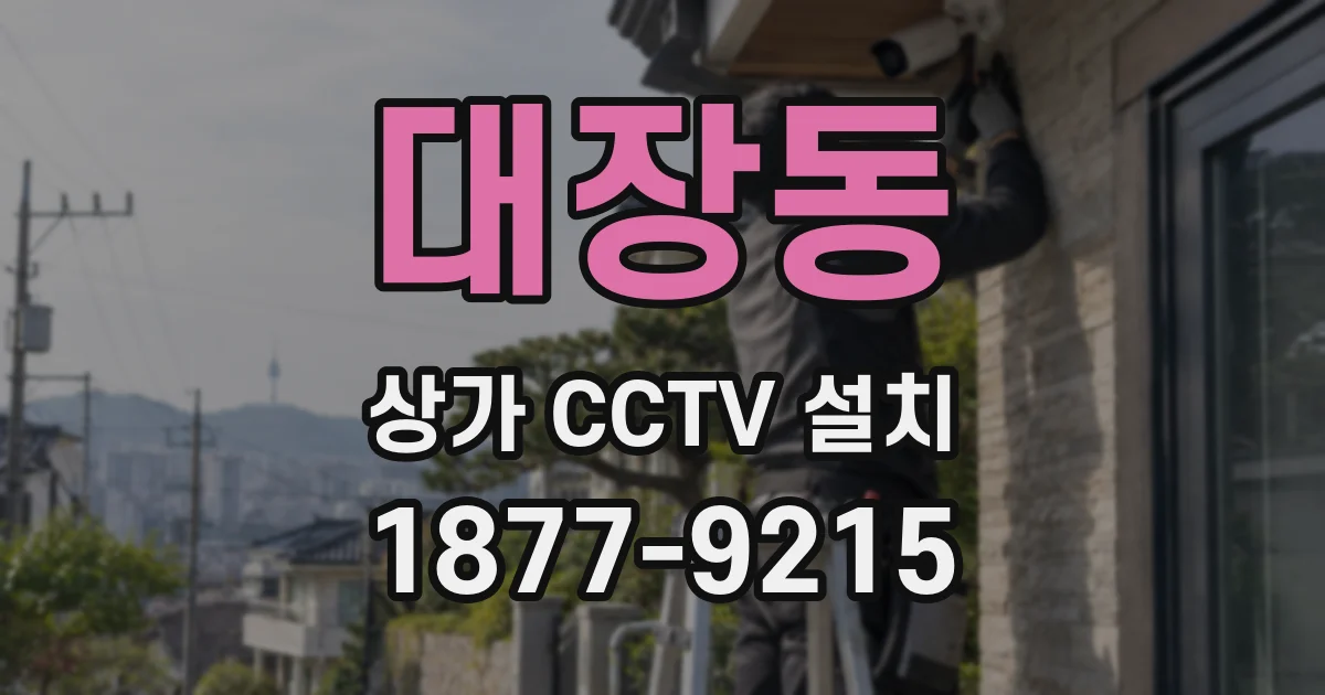 대장동 상가 CCTV 설치