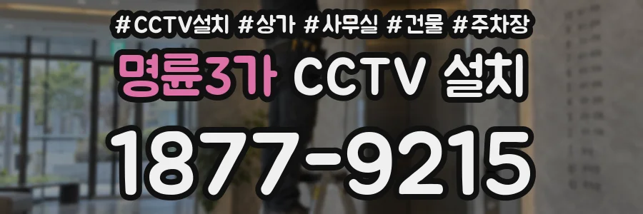 명륜3가 CCTV 설치