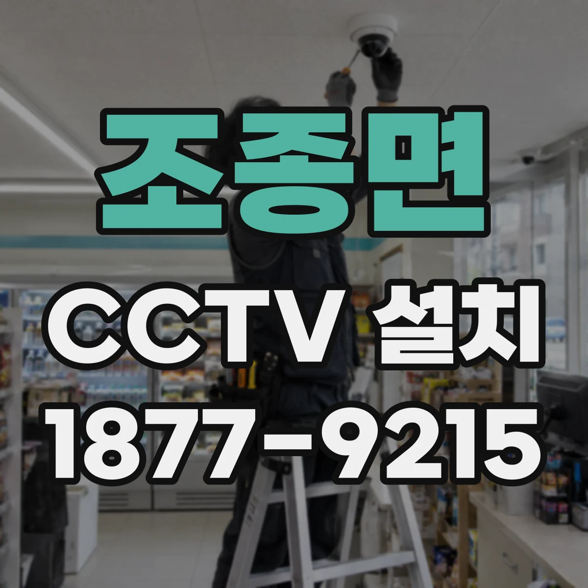 조종면 CCTV 설치