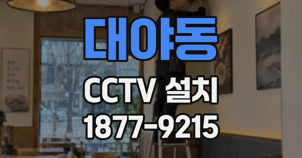 대야동 CCTV 설치