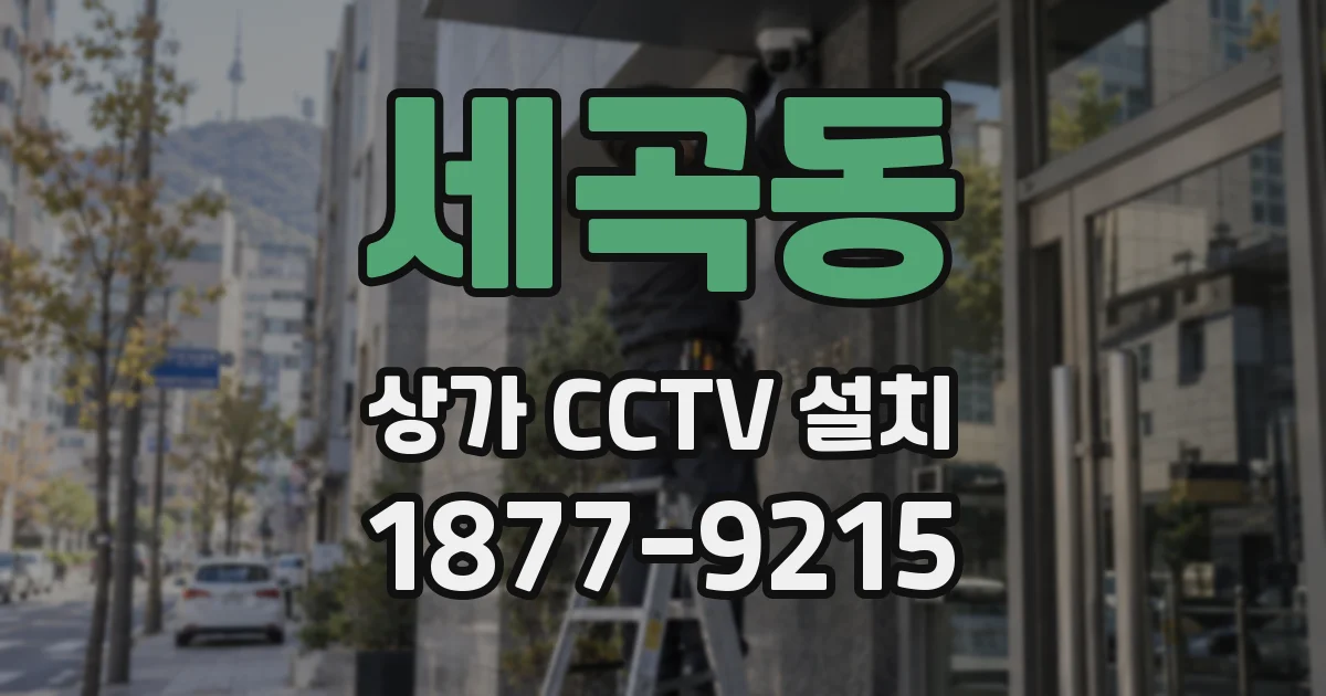 세곡동 상가 CCTV 설치