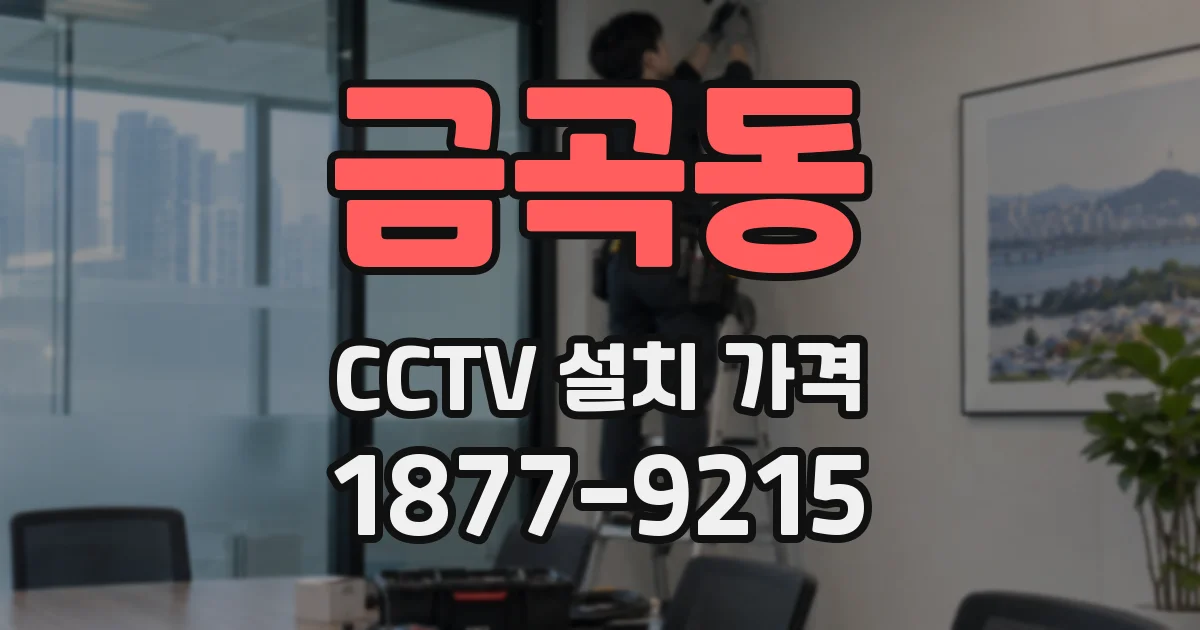 금곡동 CCTV 설치 가격