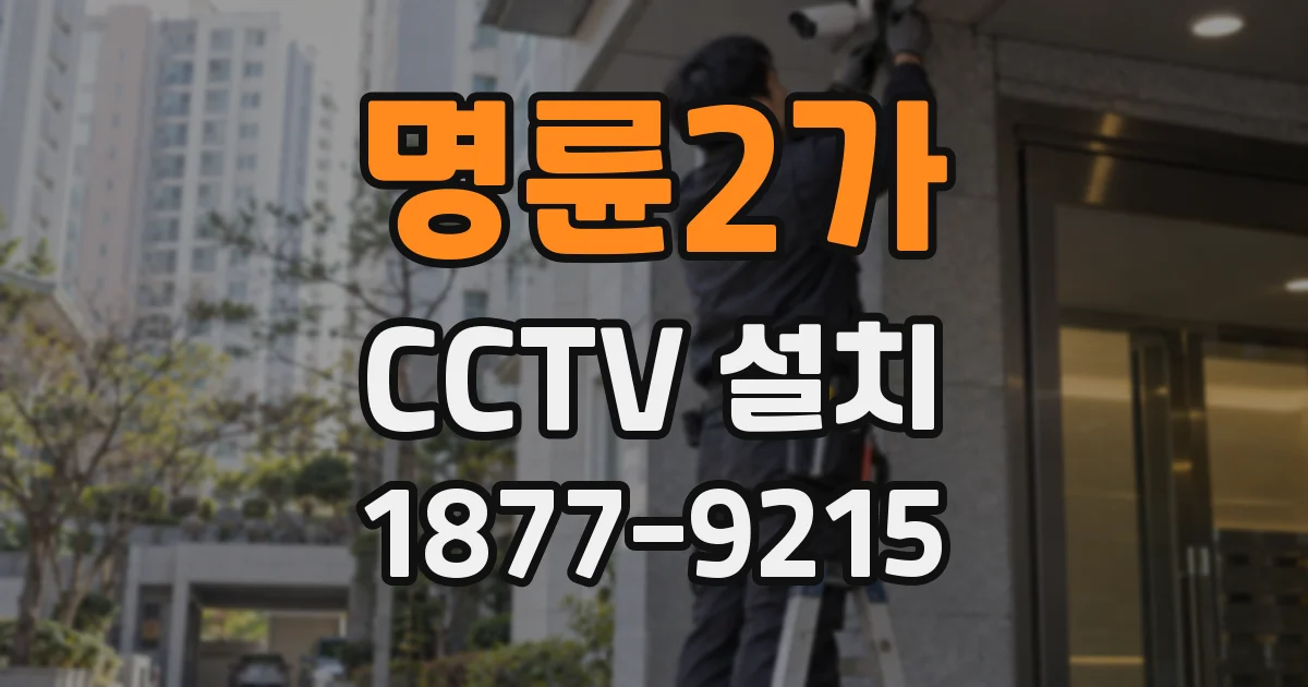 명륜2가 CCTV 설치