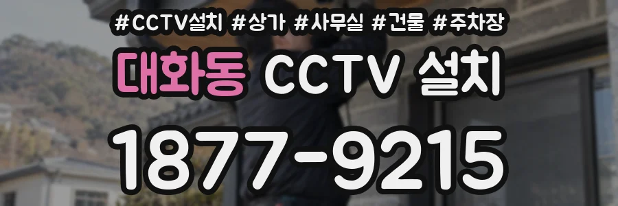 대화동 CCTV 설치