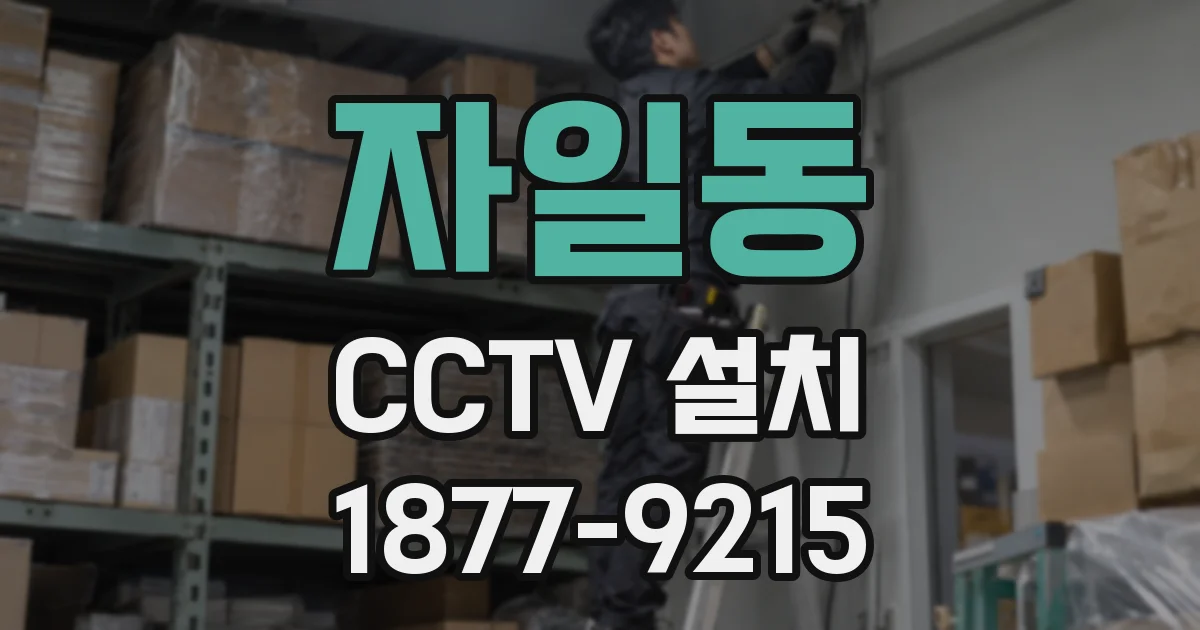 자일동 CCTV 설치