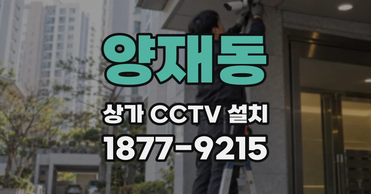 양재동 상가 CCTV 설치