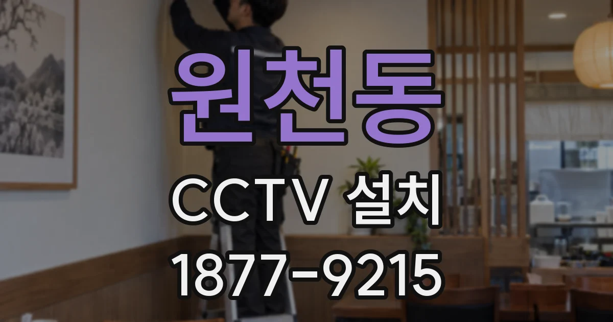원천동 CCTV 설치