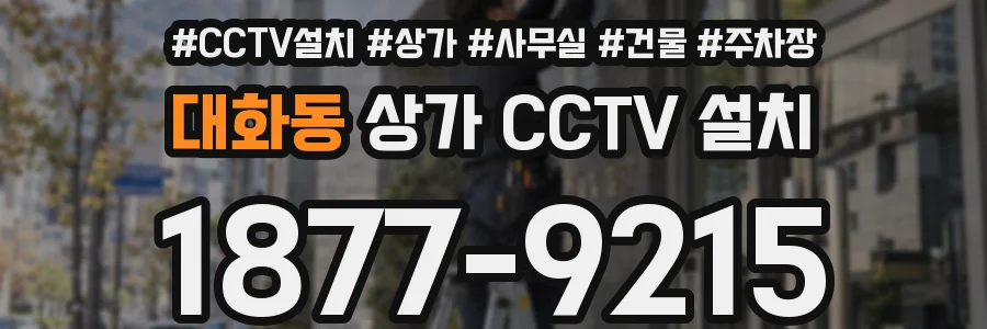대화동 상가 CCTV 설치