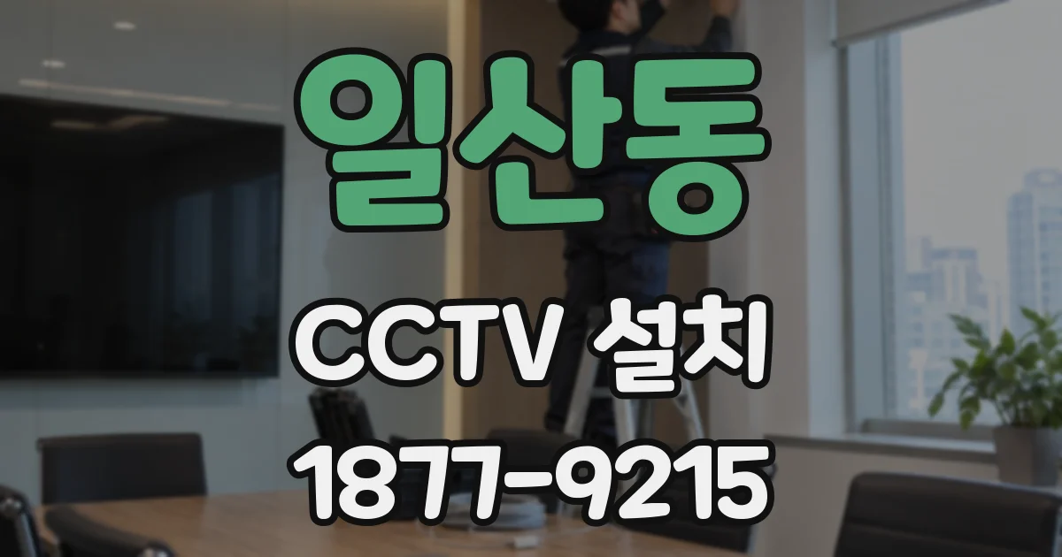 일산동 CCTV 설치