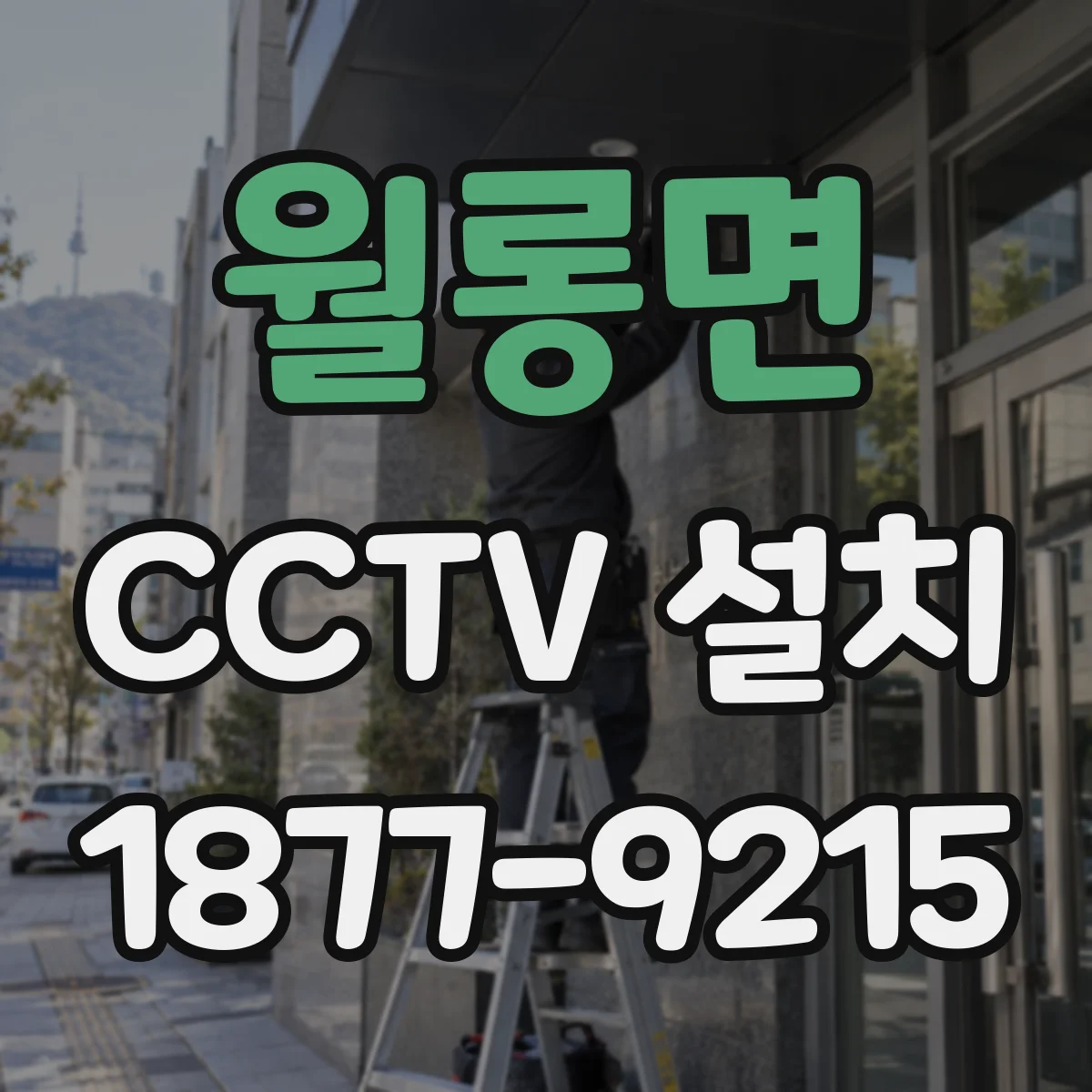 월롱면 CCTV 설치