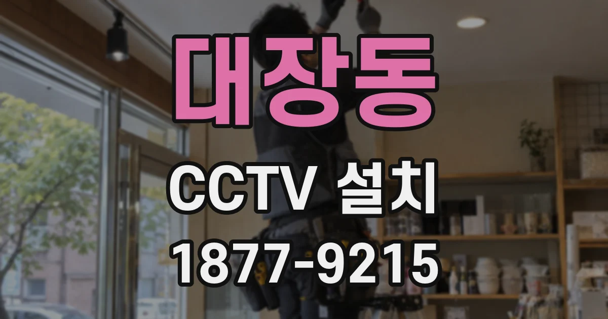 대장동 CCTV 설치