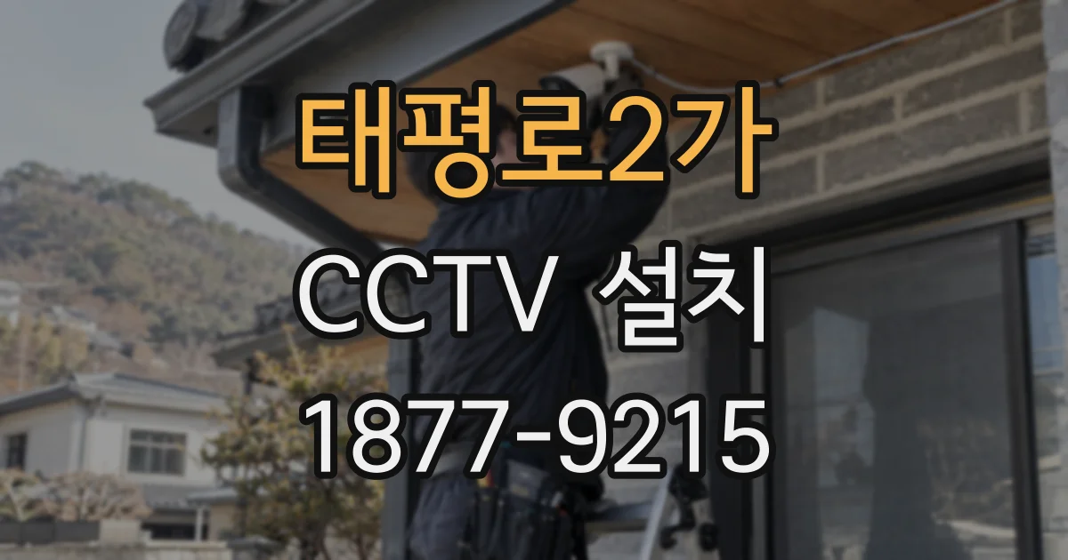 태평로2가 CCTV 설치