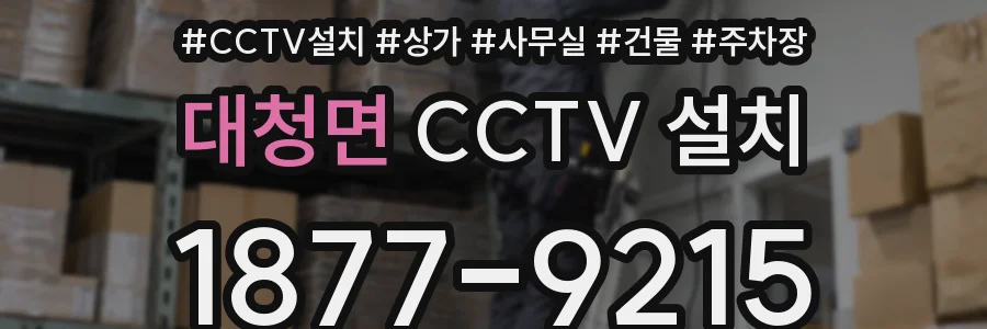 대청면 CCTV 설치