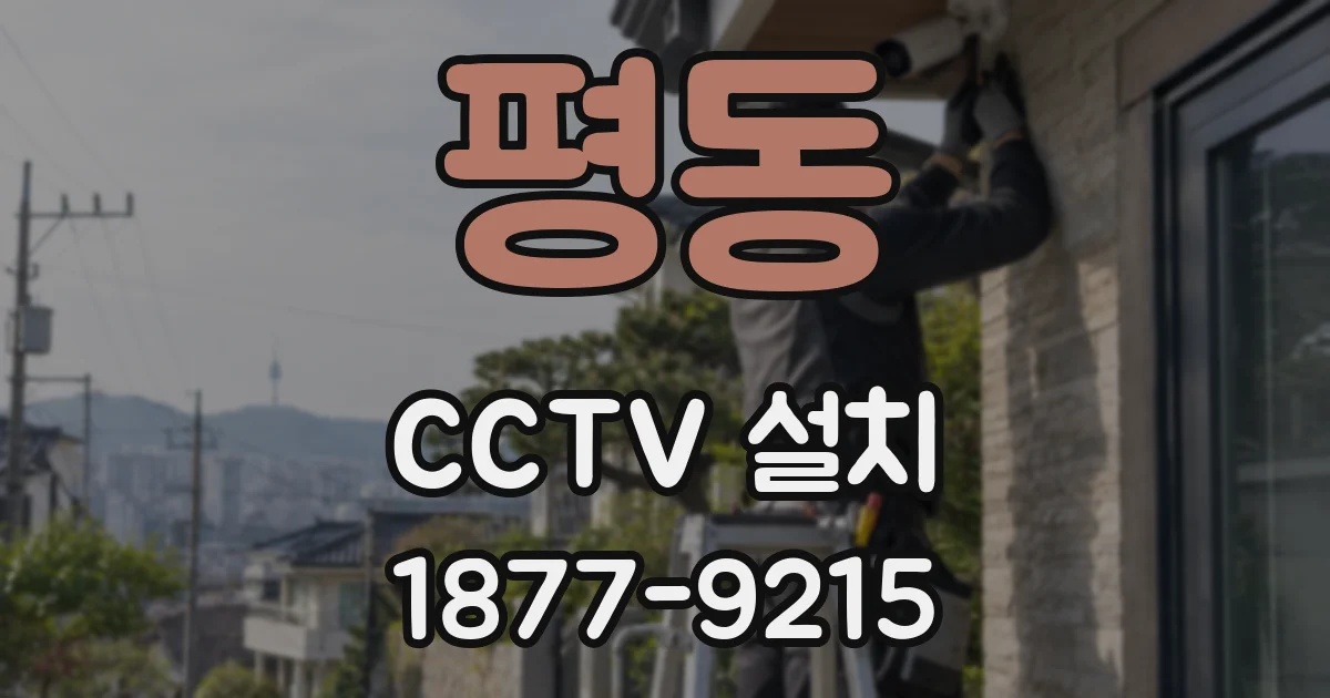 평동 CCTV 설치