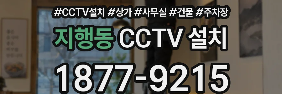 지행동 CCTV 설치