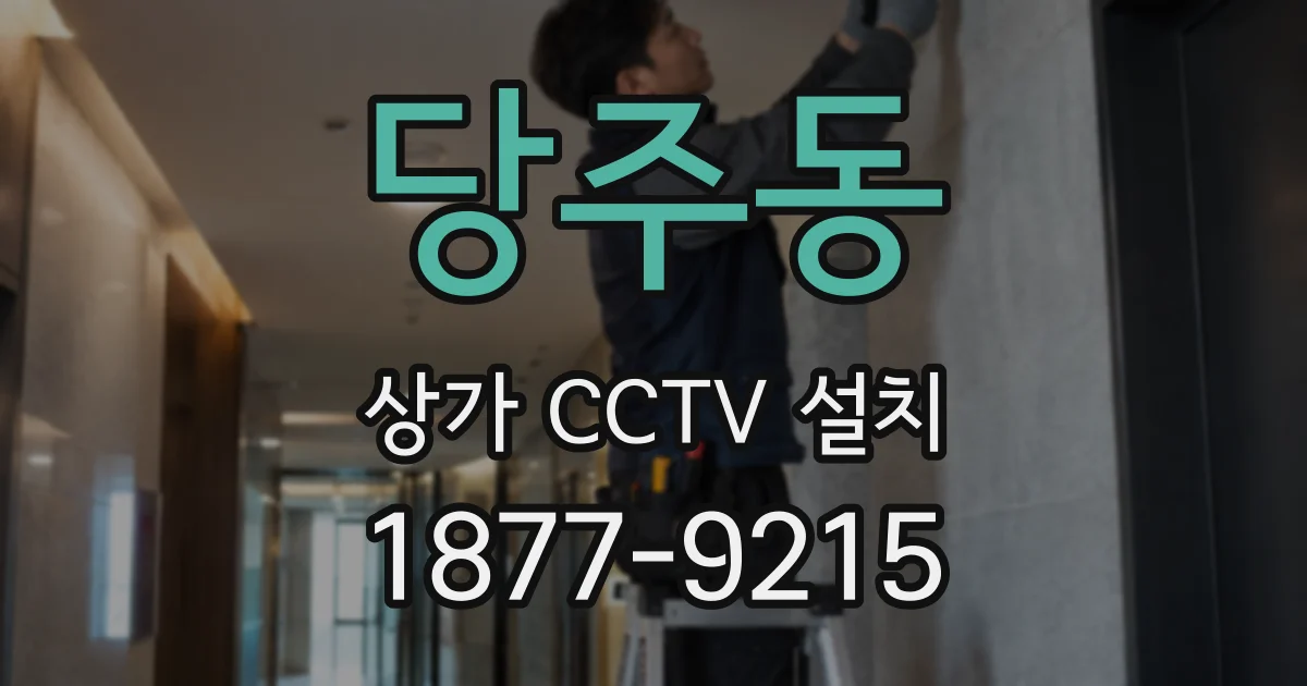 당주동 상가 CCTV 설치