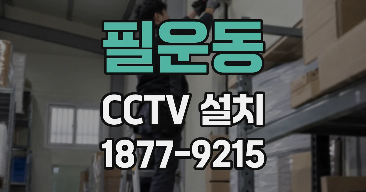필운동 CCTV 설치