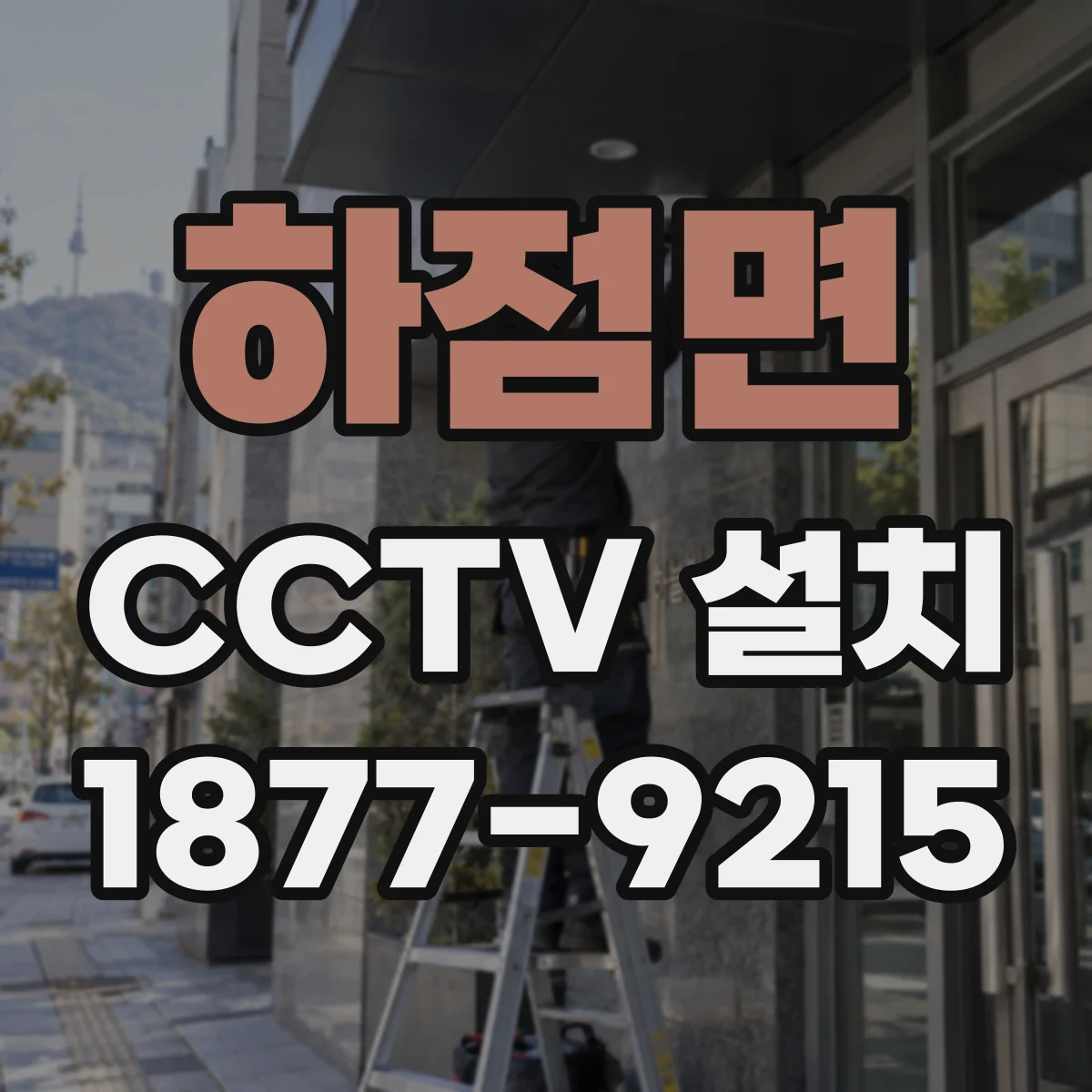 하점면 CCTV 설치