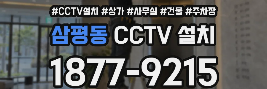 삼평동 CCTV 설치