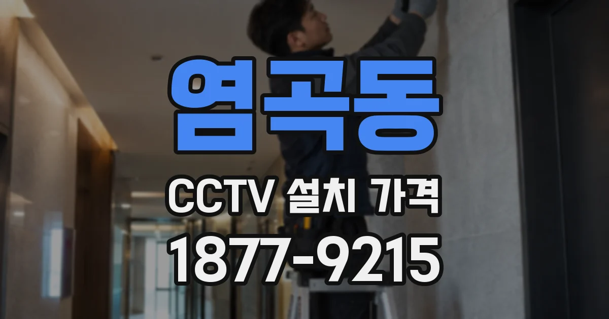 염곡동 CCTV 설치 가격