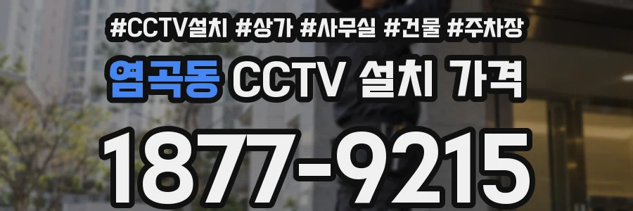 염곡동 CCTV 설치 가격