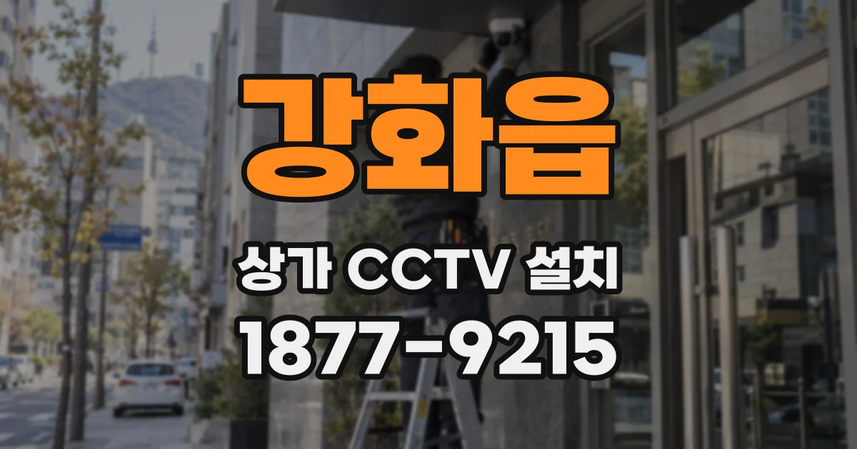 강화읍 상가 CCTV 설치