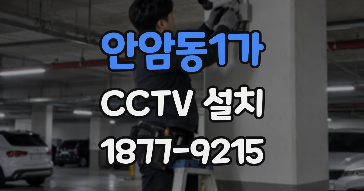 안암동1가 CCTV 설치