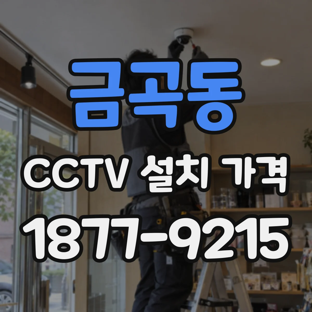금곡동 CCTV 설치 가격