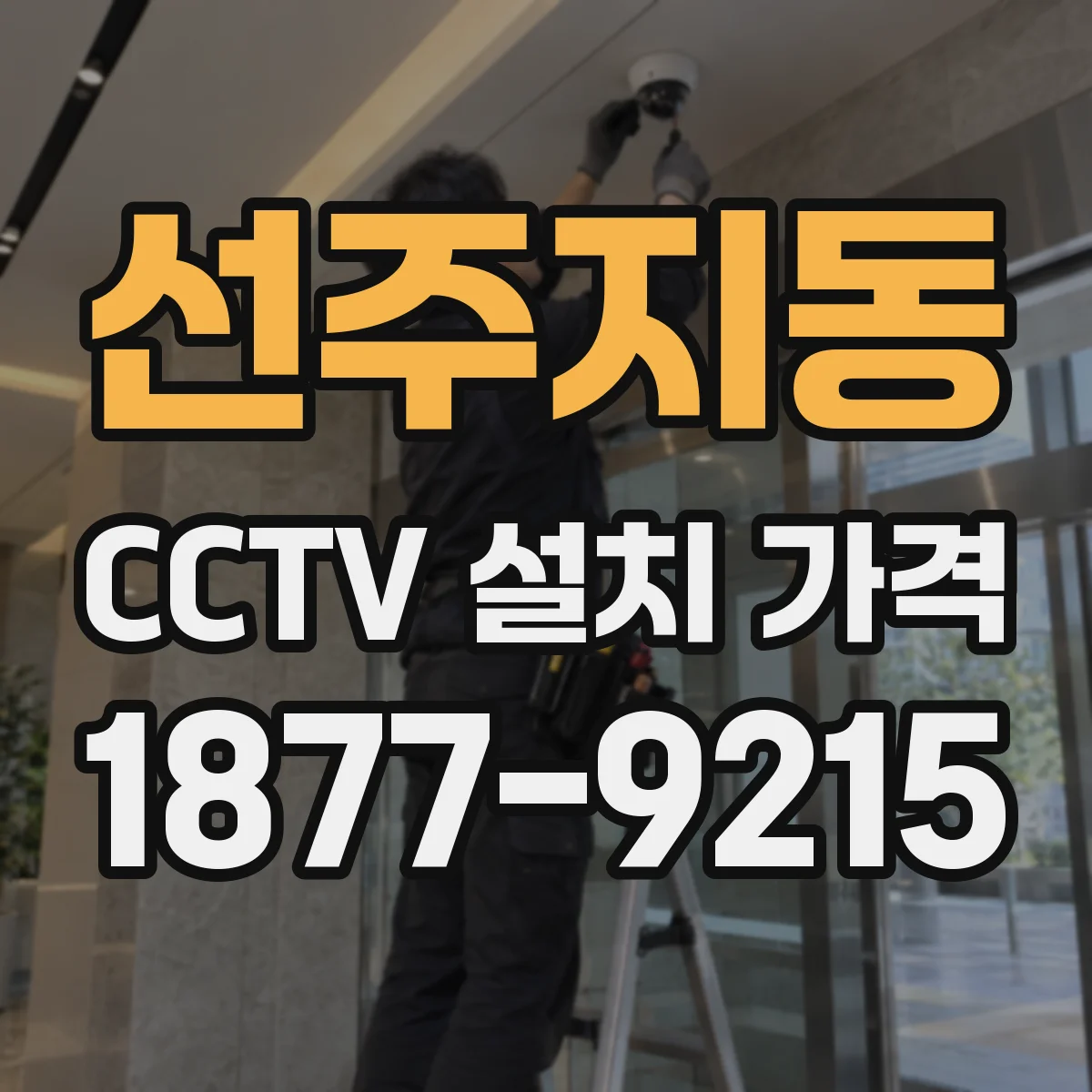 선주지동 CCTV 설치 가격