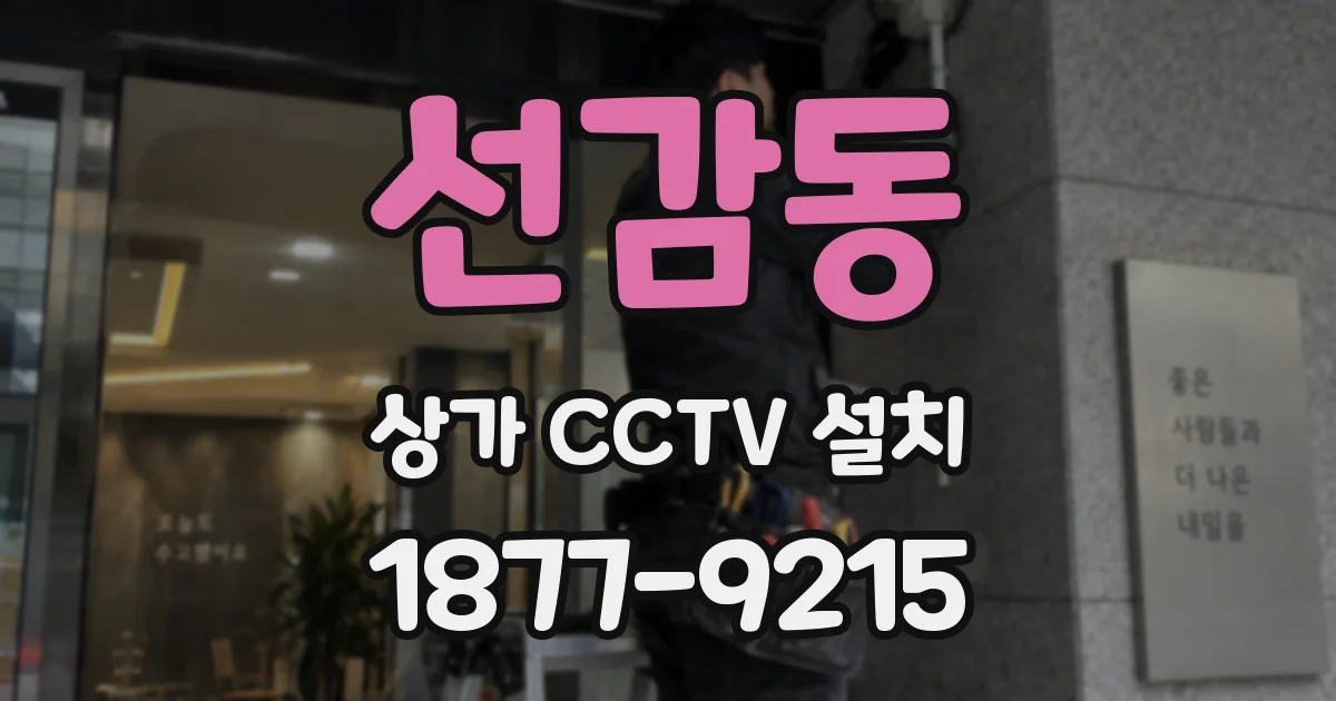 선감동 상가 CCTV 설치