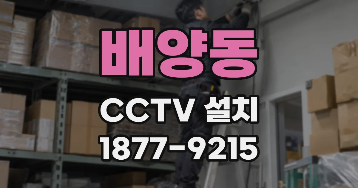 배양동 CCTV 설치