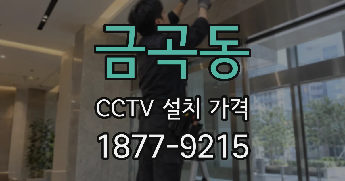 금곡동 CCTV 설치 가격