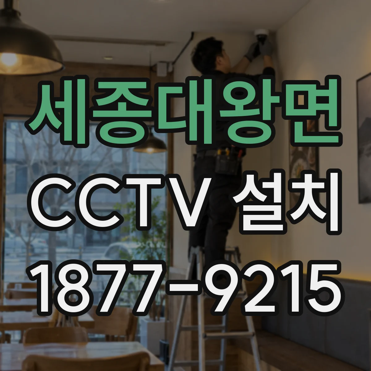 세종대왕면 CCTV 설치
