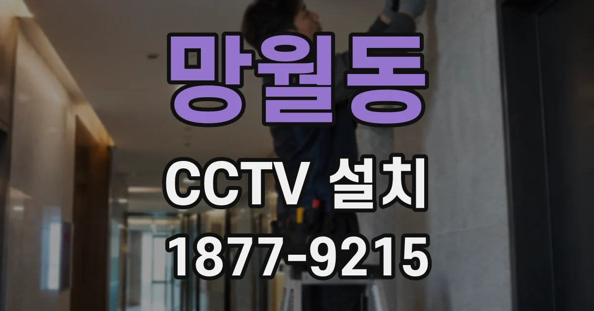 망월동 CCTV 설치
