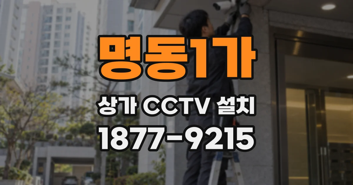 명동1가 상가 CCTV 설치