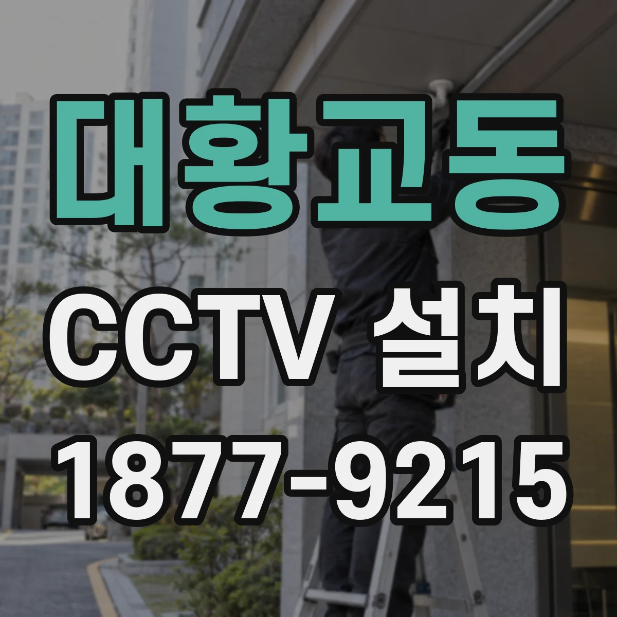 대황교동 CCTV 설치
