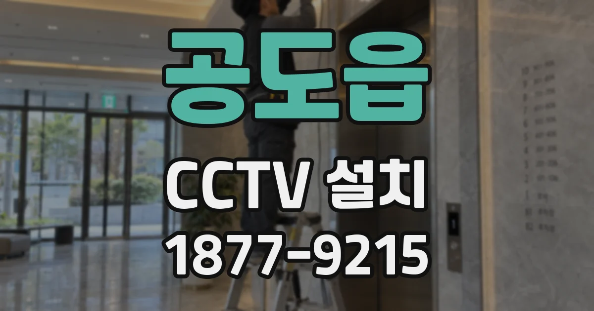 공도읍 CCTV 설치