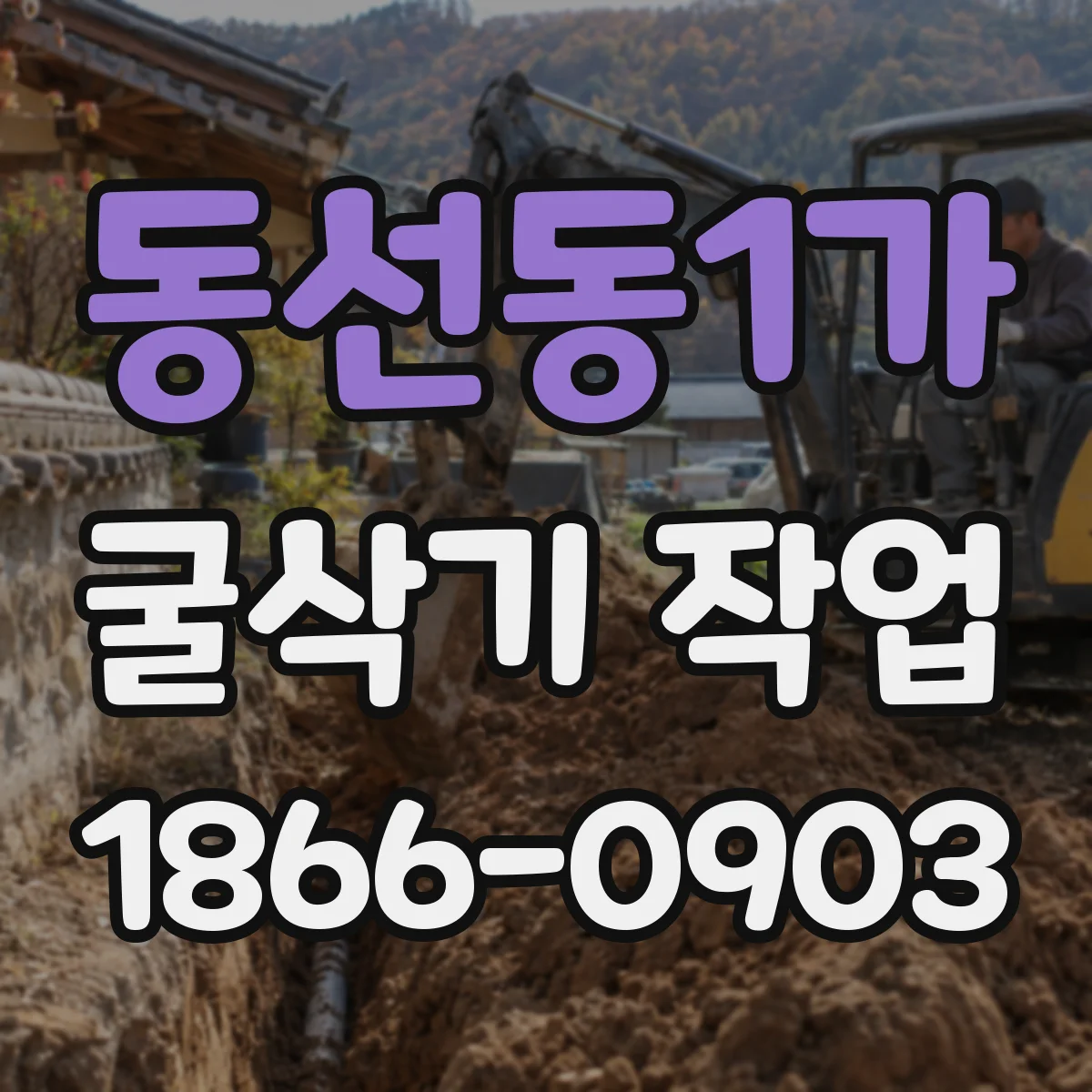 동선동1가 굴삭기 작업