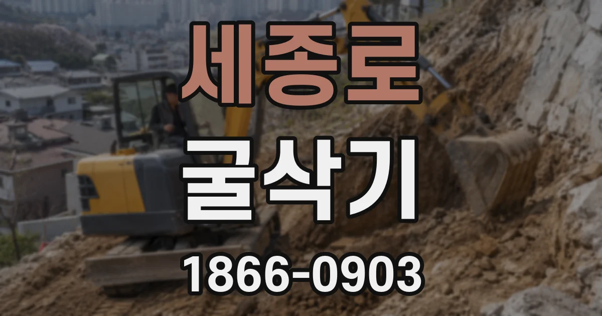 세종로 굴삭기