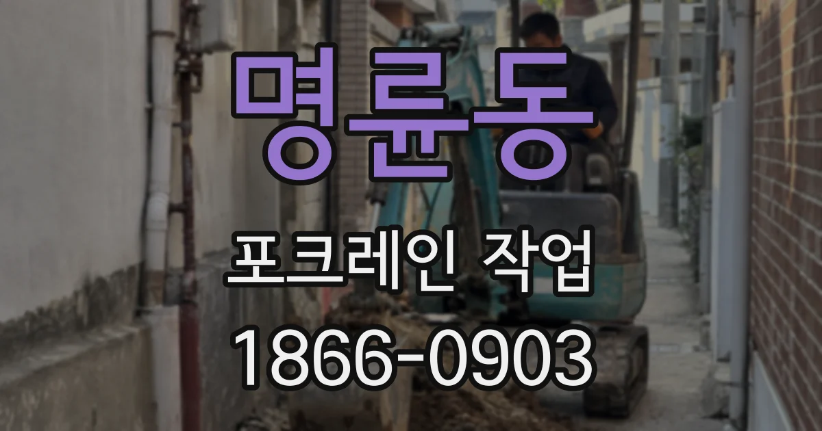 명륜동 포크레인 작업