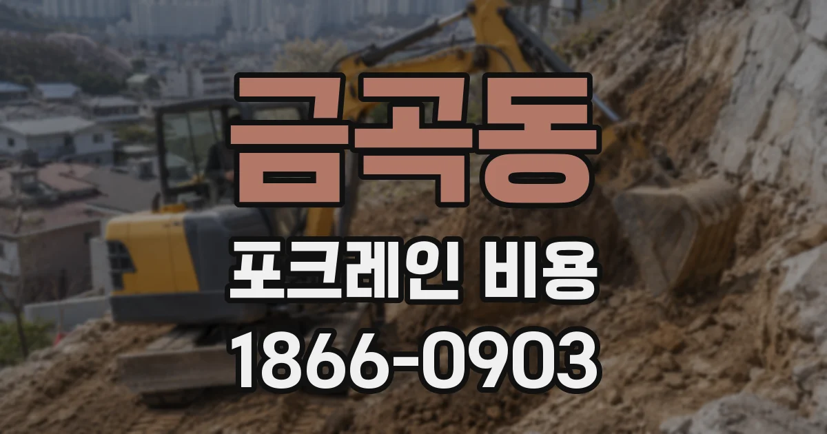 금곡동 포크레인 비용