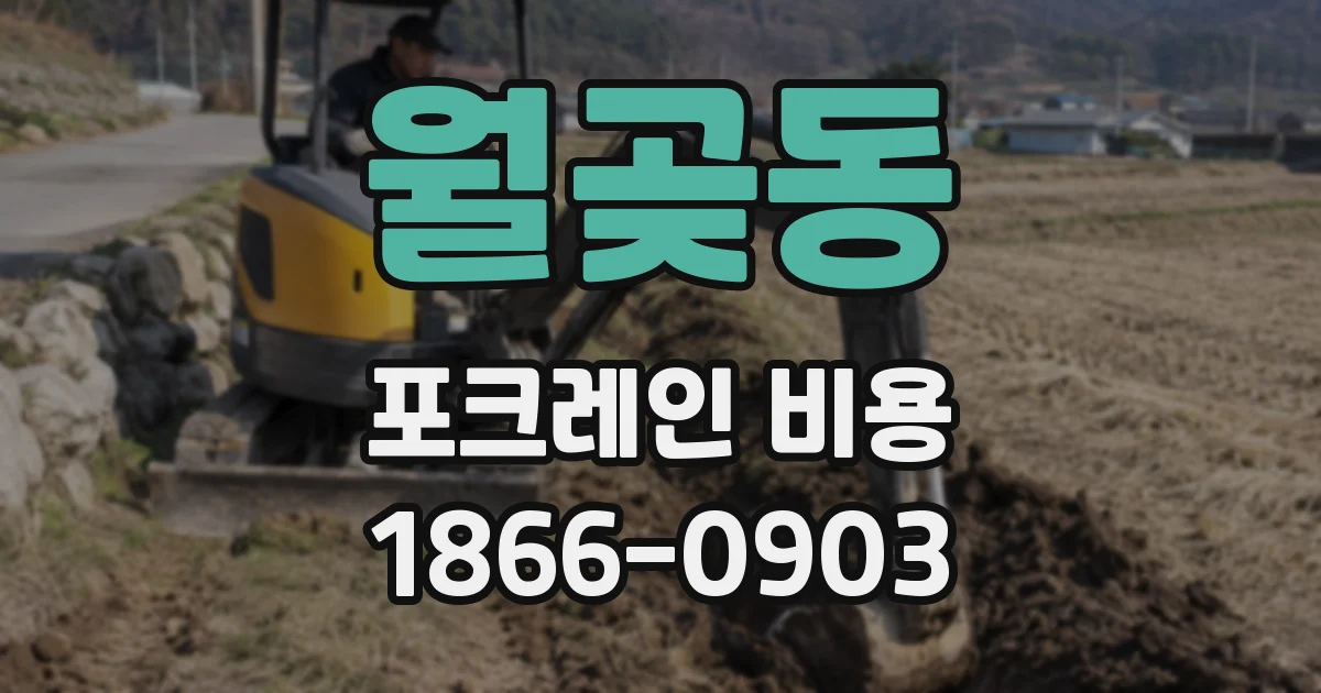 월곶동 포크레인 비용