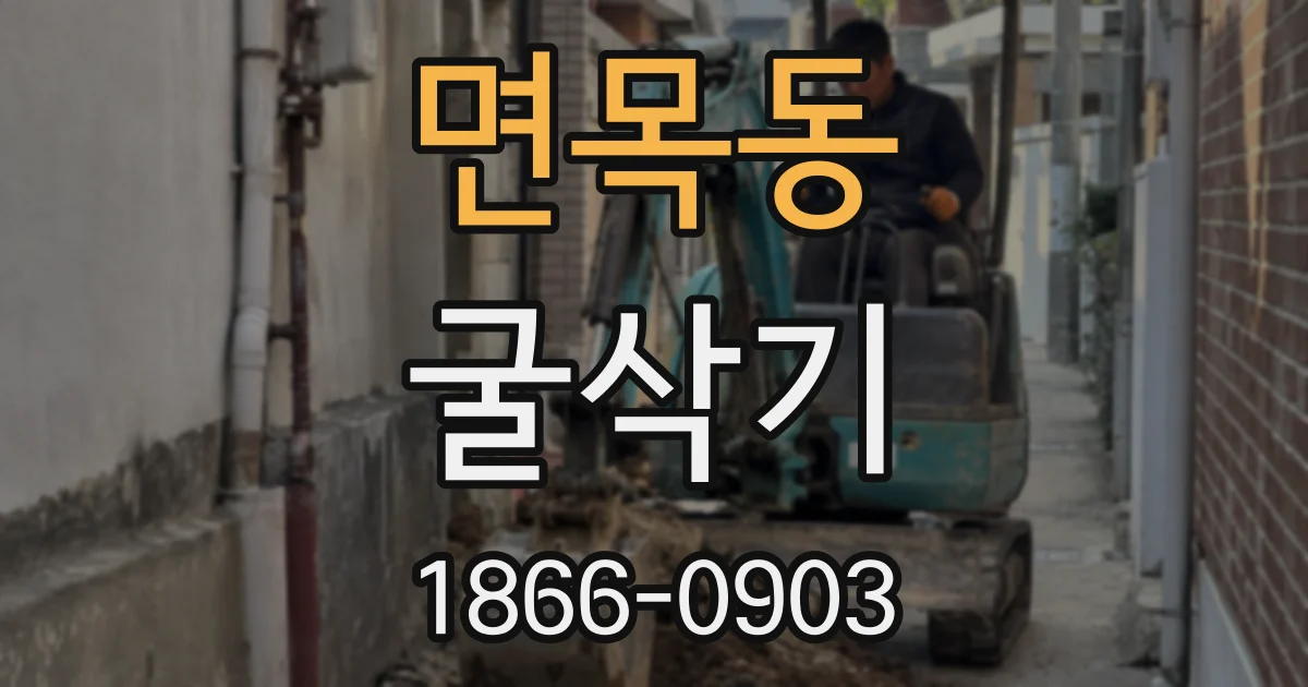 면목동 굴삭기