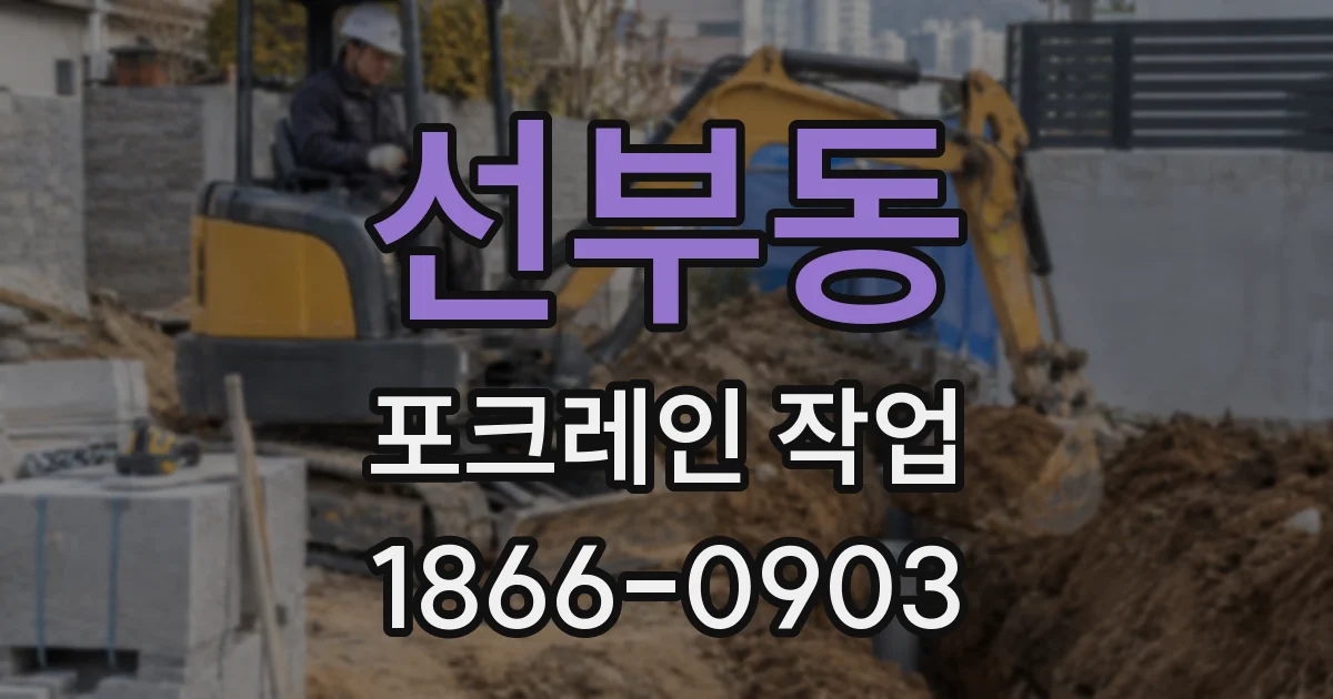 선부동 포크레인 작업