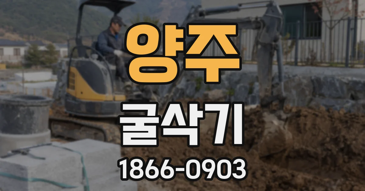 양주 굴삭기