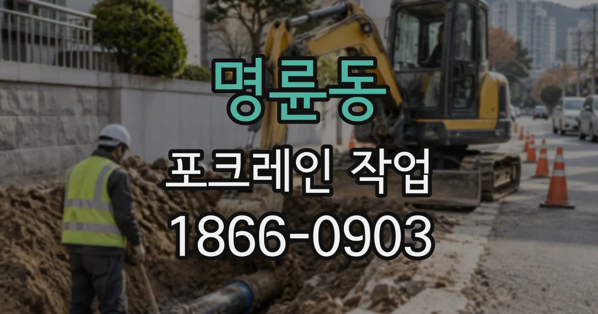 명륜동 포크레인작업
